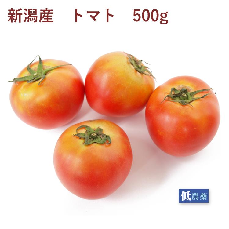 トマト　500g前後 低農薬栽培 　送料別 ポイント消化 食品