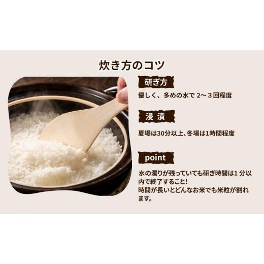 ふるさと納税 茨城県 土浦市 令和5年産新米　土浦市産コシヒカリ　精米10kg　ホタルが舞う里のお米※離島への配送不可