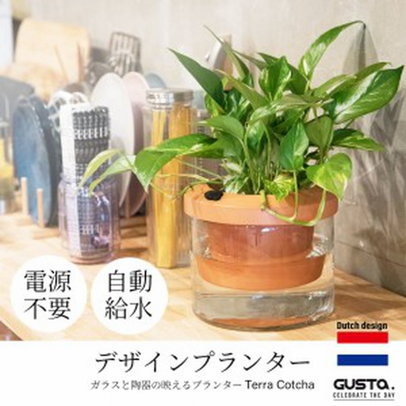 植木鉢 プランター おしゃれ 自動給水 観葉植物 欧州 ブランド Gusta Terra Cotcha 通販 Lineポイント最大1 0 Get Lineショッピング