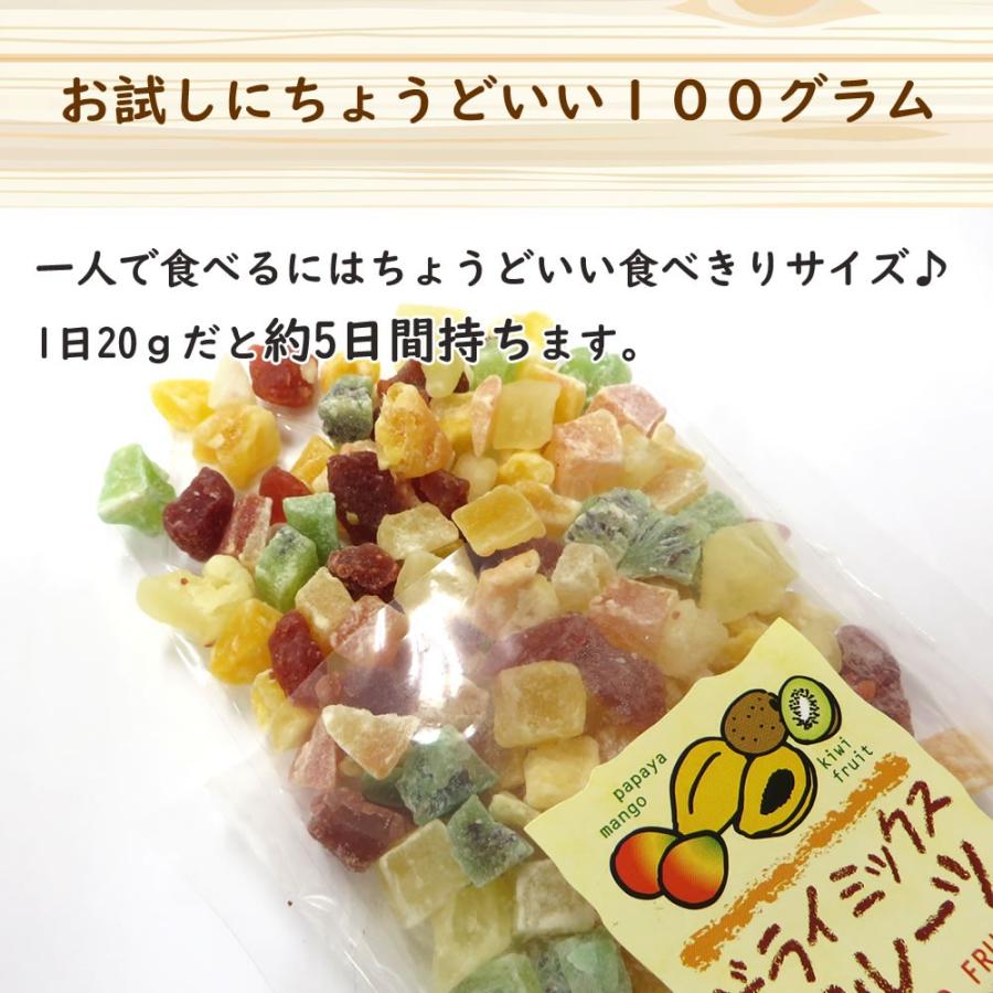 大地の生菓  ドライフルーツ ドライミックスフルーツ 100g 送料無料 お試し 製菓材料 手土産 非常食 クリスマス ギフト プレゼント 2023