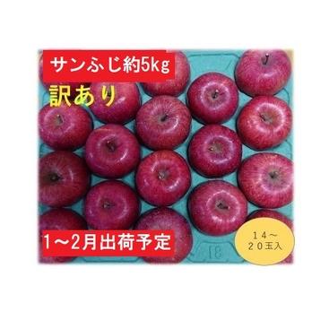 ふるさと納税 1〜2月発送  家庭用 百年木の香 三上農園 サンふじ 約5kg 有機肥料100％ 青森県弘前市