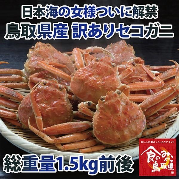 セコガニ 訳あり(活)松葉ガニの雌 総重量1.5kg前後