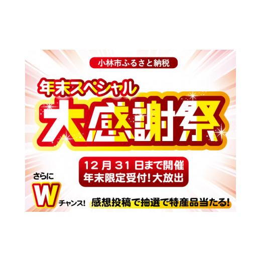 ふるさと納税 宮崎県 小林市  宮崎牛おためしすき焼き用　500ｇ×2Ｐ（国産 牛肉 宮崎牛 お肉 モモ ウデ すき焼き スライス 焼肉 特別提供…