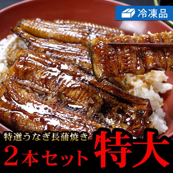 冷凍特選うなぎ長蒲焼き特大2本セット