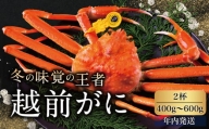 越前がに（オス）「ずわいがに」（400g～600g） 2杯