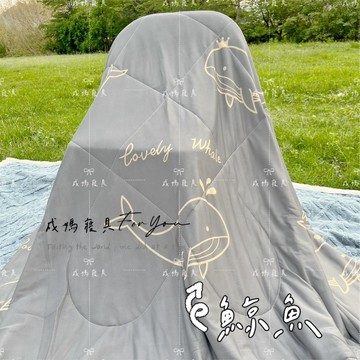 成媽🔸 (集點換購)急凍涼感冰冰被150*200