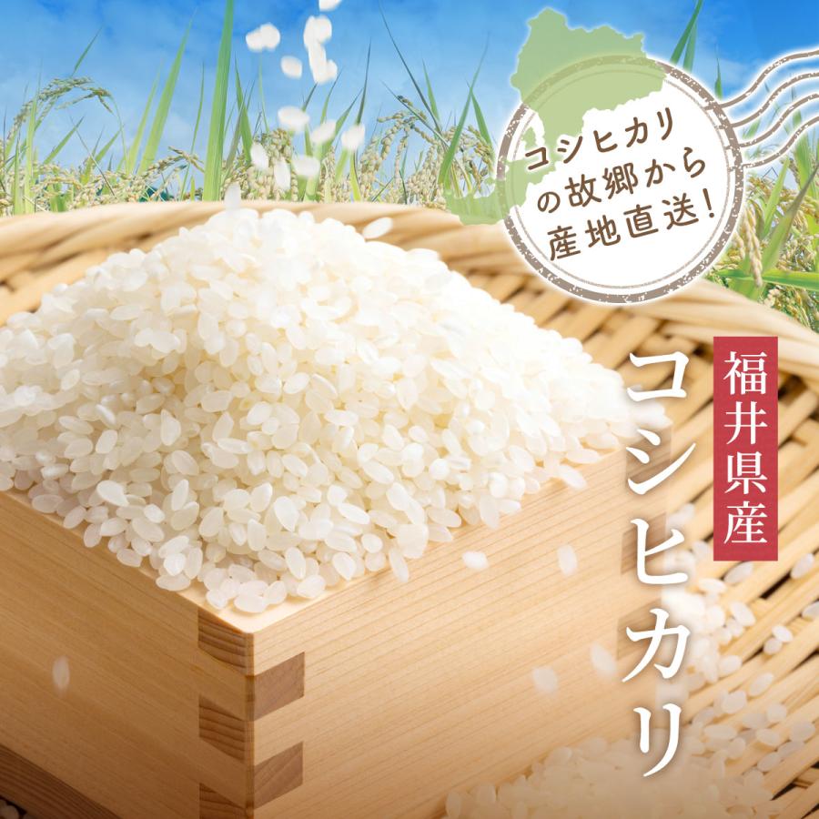 新米 米 無洗米 10kg 5kg×2袋 コシヒカリ 福井県産 白米 令和5年産 送料無料