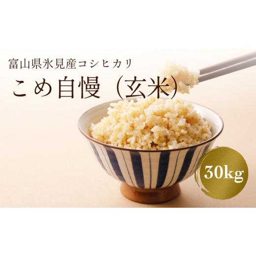 ふるさと納税 富山県 氷見市 令和4年産富山県産特別栽培米コシヒカリ《こめ自慢》30kg