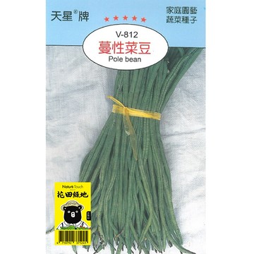 花田綠地種子-蔓性菜豆