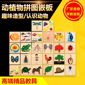 🌈「學前教育」蒙氏教具木製拼圖兒童早教大木釘益智幼兒園椴木動植物嵌板玩具