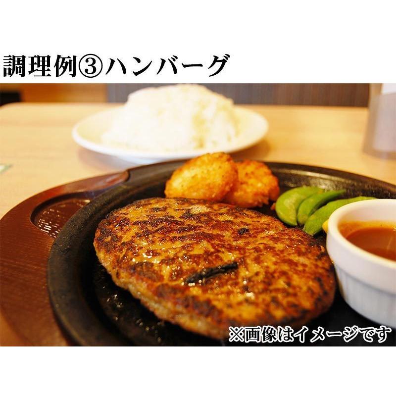 大豆ミート 「 ダイズラボ 大豆のお肉 ミンチ 乾燥 1kg (100g×10袋) 」 マルコメ 代替肉 植物肉 ヴィーガン ベジタリアン