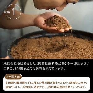 ふるさと納税 延岡よっとん　肩ロース　ブロック約1.1kg　N003-ZA330 宮崎県延岡市