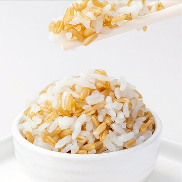 【聖誕特惠-免運】有機燕麥450g東北米粗糧五穀禮物/方家鋪子