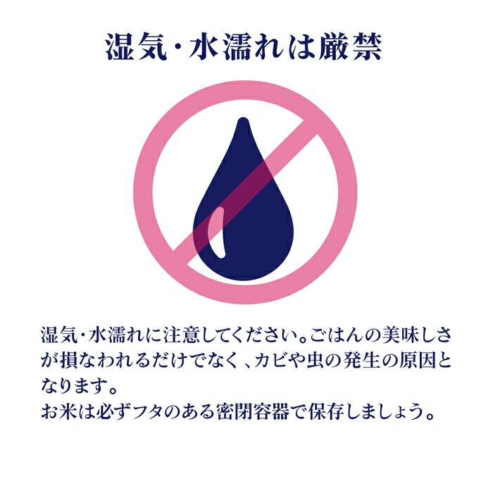 米 5kg 送料無料 白米 無洗米 てんたかく  令和三年産 無洗米 富山県産 5キロ お米 玄米 ごはん 慣行栽培米 一等米 単一原料米 分付き米対応可 保存食