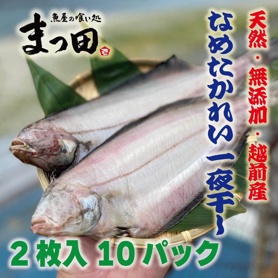 越前産　ナメタガレイ　ひもの　一夜干し　2枚入（約20ｃｍ）　10パック