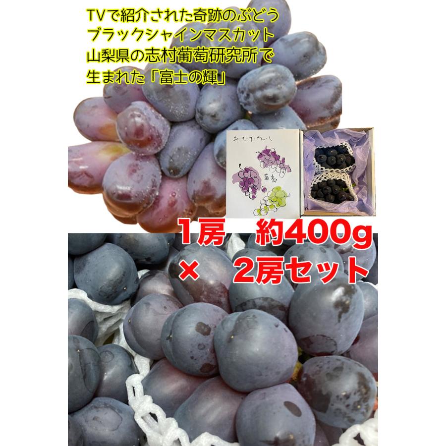 ぶどう シャインマスカット ブラックシャインマスカット  山梨県産 富士の輝 1房入 400g × 2房 ぶどう マスカット クール便 送料無料 8月下旬頃から