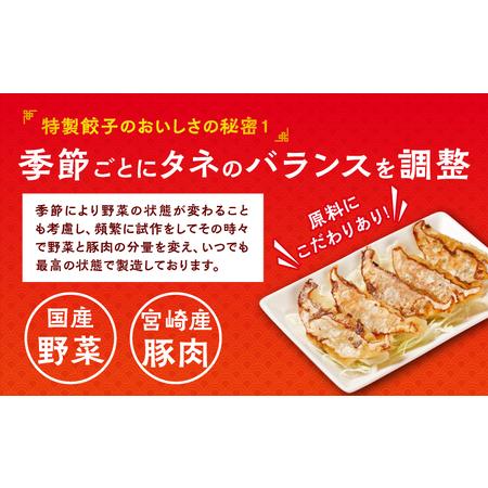 ふるさと納税 悠瑠里特製餃子36個鶏餃子36個 食べ比べセット 宮崎県宮崎市