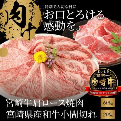 ふるさと納税 木城町 宮崎牛肩ロース焼肉600g　宮崎県産和牛小間切れ200g (木城町)