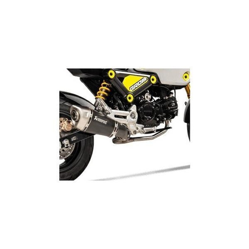 AKRAPOVIC アクラポビッチ P-HSH125SO1 カーボンヒートシールド グロム