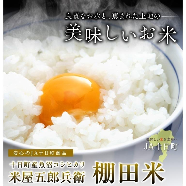 新潟県 十日町市産 魚沼コシヒカリ 米屋五郎兵衛 棚田米 令和5年産 玄米 10kg