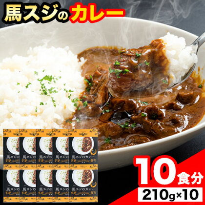 たっぷり！馬スジカレー 10食セット 千興ファーム《60日以内に順次出荷(土日祝除く)》馬スジ カレー お肉 馬すじ カレーライス 馬肉 贈答 ギフト グルメ お取り寄せ 熊本県 御船町 送料無料