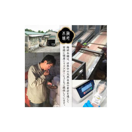 ふるさと納税 鹿児島県 阿久根市 おろし金付き！ピンク岩塩食用ブロック2本セット(計約300g) 煮込み料理はブロックのまま投入！小皿において店舗や室内の装飾…