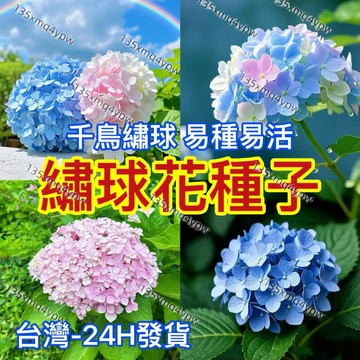 現貨【精選繡球花種子】（250粒）四季夏繡球花種子 開花不斷  四季播種 陽台 庭院種植 七彩繽紛繡球花 盆栽花卉種子