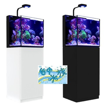 台中水族 以色列red Sea 紅海max Nano 頂級背濾水族箱 白 黑 Led 版45cm海水缸 Yahoo奇摩超級商城 Line購物