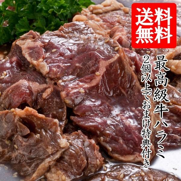 牛 ハラミ 焼肉 味付き牛サガリ 700g 2個の注文で1個オマケ！ 送料無料 お歳暮 ギフト バーベキュー BBQ