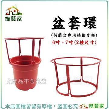 【綠藝家】盆套環6吋、7吋 (荷蘭盆.栽培盆專用植物支架) 用於聖誕紅及菊花盆栽的栽培使用