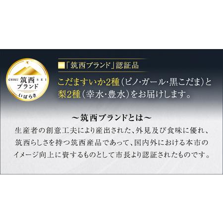 ふるさと納税 先行予約  旬 の フルーツ 定期便 ミニコース JA 幸水 豊水 こだまスイカ 黒こだま ピノ・ガール 果.. 茨城県筑西市