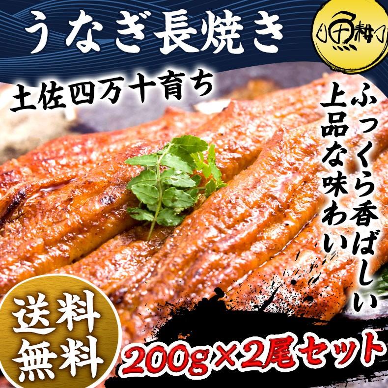 うなぎ プレゼント お歳暮 2023 ギフト  国産最高級 四万十うなぎ 超特大サイズ蒲焼き長焼き約200g×2尾 お取り寄せ グルメ 鰻