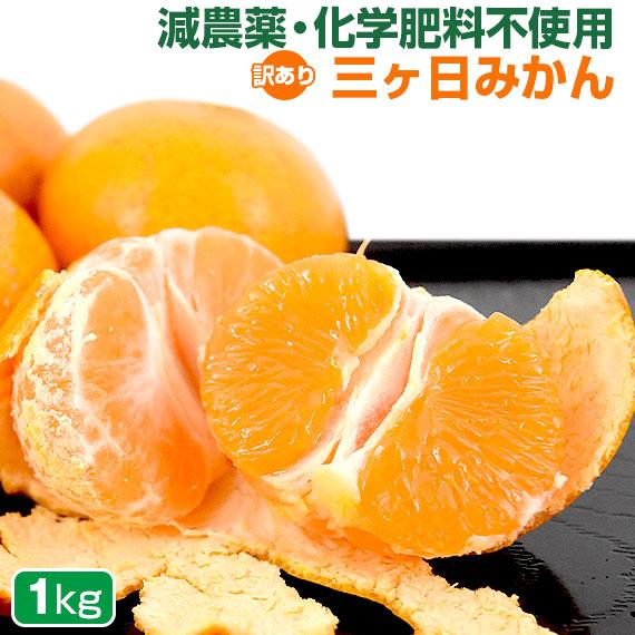 みかん 三ヶ日みかん 静岡県産 1kg 訳あり 特別栽培農産物 減農薬 除草剤不使用  ジュース用 ご家庭用