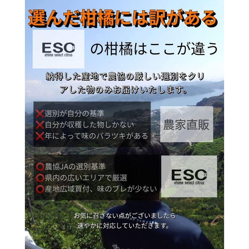 ESC 愛媛県産グリーンレモン秀品L.・M混合中玉2.5ｋｇノーワックス・防腐剤不使用