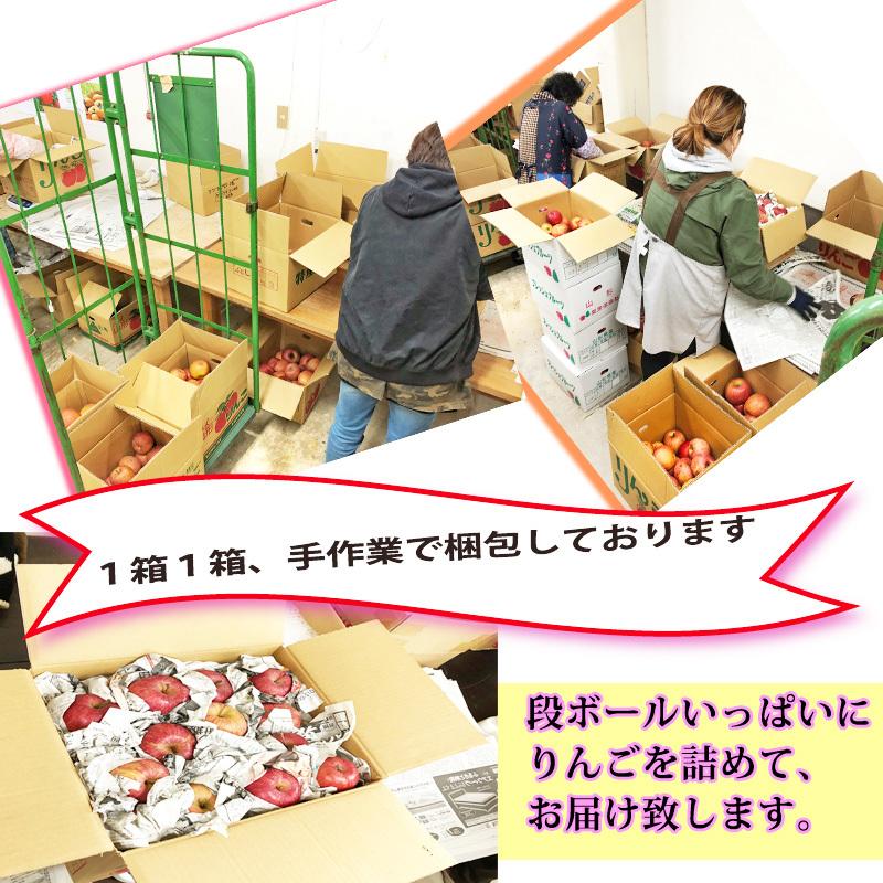 予約販売 訳あり りんご サンふじ 3kg 送料無料 山形県産 無選別 [ご家庭用りんご３キロ]