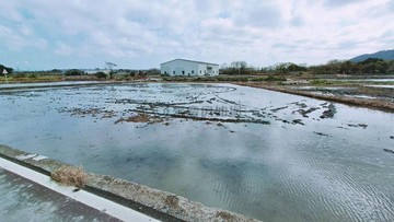 大甲日南綠意盎然低單價持分建地｜台中市大甲區九張段