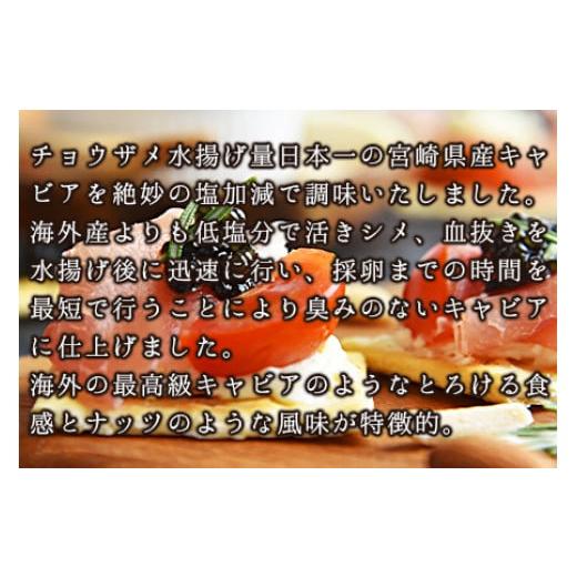 ふるさと納税 宮崎県 国富町 ＜クニトミキャビア 120gセット(20g×6)＞翌月末迄に順次出荷