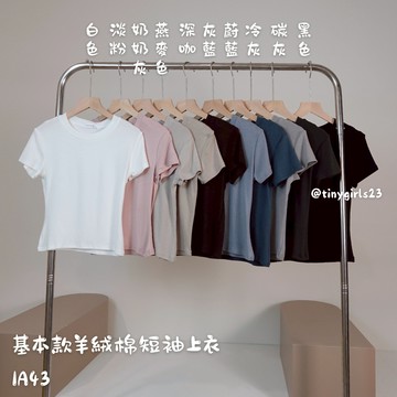 【太妮絲IA43】現貨 新款 正常長度 短袖上衣 素t 基本款羊絨棉短袖上衣 48公分 200克羊絨棉