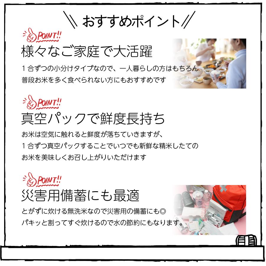 お米 福岡県産元気つくし 計4.5kg 1500g(150g×10)×3袋 令和3年産 あかふじ ぱきっと今日のごはん