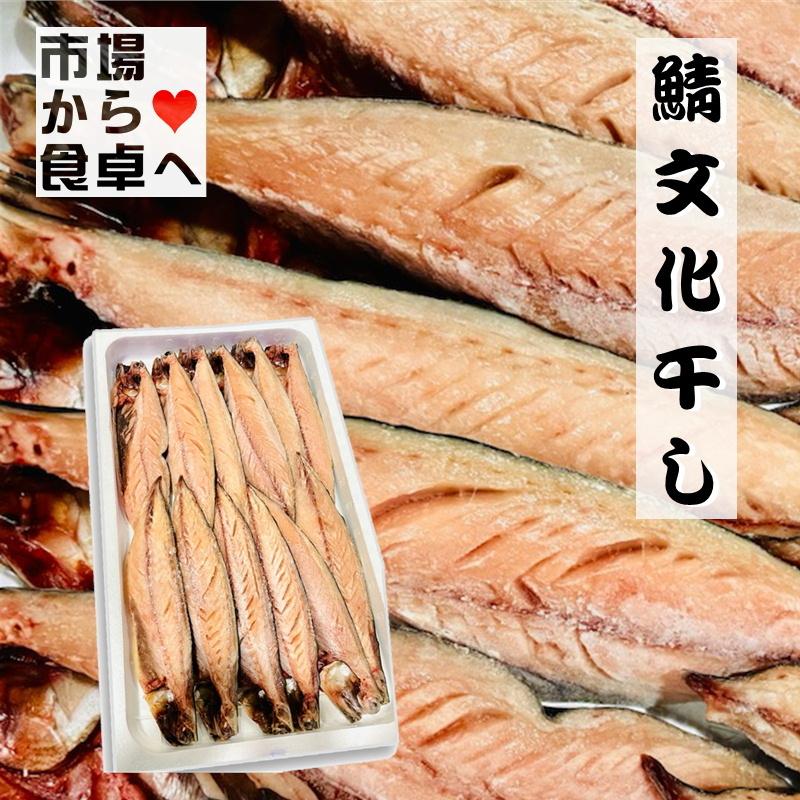 さば文化干し 鯖の干物 12枚(1枚当たり約100g)脂のっています