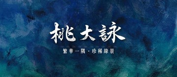☸️(預)桃大詠露台三車+雙車位｜桃園市中壢區青商路
