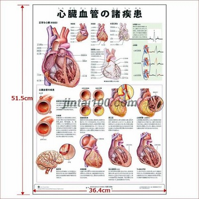 ポスター イラストの通販 30 433件の検索結果 Lineショッピング