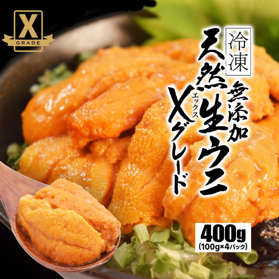 うに 天然 生 ウニ 特選品 Ｘグレード ４００ｇ（１００ｇ×４パック） 冷凍 刺身 雲丹 無添加 海鮮丼