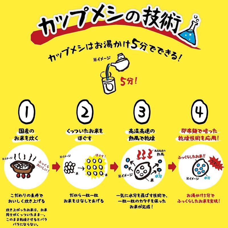 日清食品 カレーメシ ビーフ 107gx6個