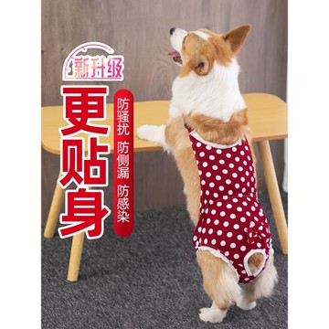 母狗狗生理褲女狗衛生褲絕育神器姨媽褲柯基法斗安全月經褲防交配