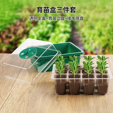購滿99出貨✨可開發票✨育苗專用育苗盒三件套透氣轉換型種植移栽多功能園藝種植盆養護穴