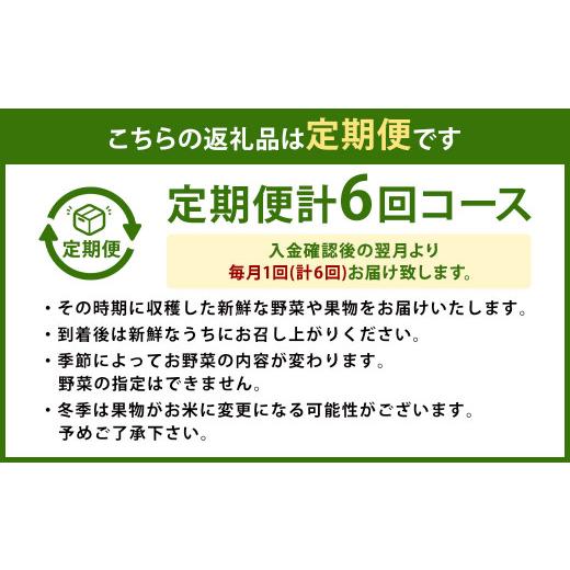 ふるさと納税 熊本県 菊陽町 菊陽町特産品 「野菜・果物などの詰め合わせ」