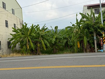 專任｜東勢16米路 都計內農地｜台中市東勢區下新段