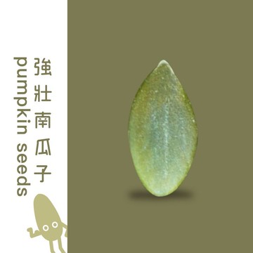 【堅強堅果】原味南瓜子