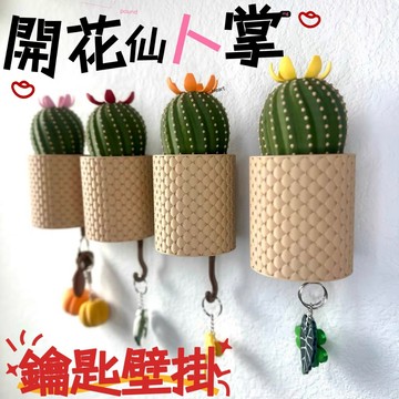 台現 免運🌵開花仙人球🌵開花鑰匙掛鉤 壁掛 掛鈎 機械創意🌵玄關壁掛鑰匙 手表掛鉤 女生好物 居家創意 小物 3D打印